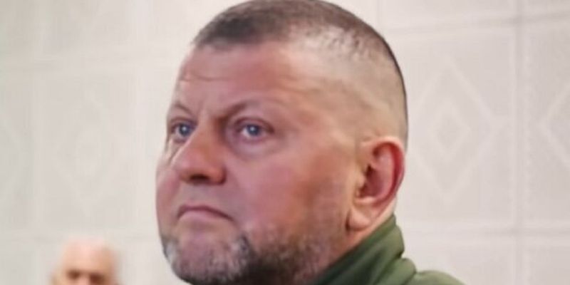 Увольнение Залужного: правительство Украины проинформировало партнеров, что думают украинцы