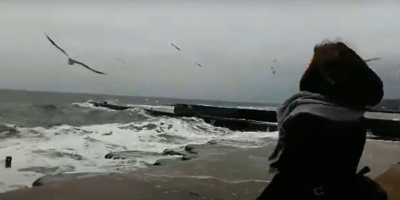 Гороскоп на неделю с 12 по 18 ноября для всех знаков Зодиака: Овен и Лев могут страдать от проблем со здоровьем